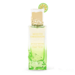 Mojito Obsession - Gulf Orchid